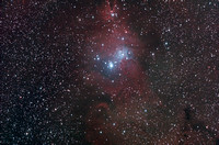 NGC 2264 Christmas Tree Cluster  Cone Nebula
