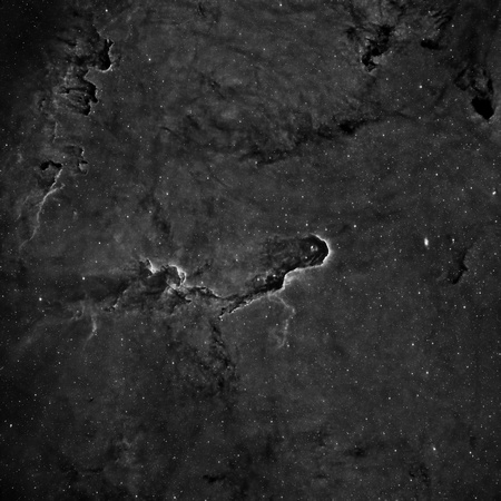 IC 1396 Sh 2-131 The Elephant's Trunk Nebula
