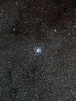 M 11 NGC 6705 Wild Duck Cluster