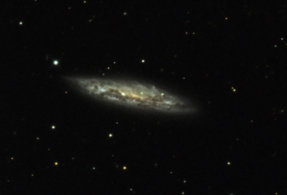 M108 NGC 3556