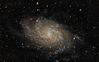 M 33 NGC 598 Pinwheel Galaxy