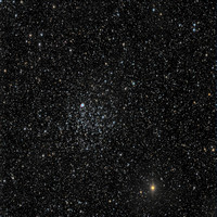 M46  NGC 2437