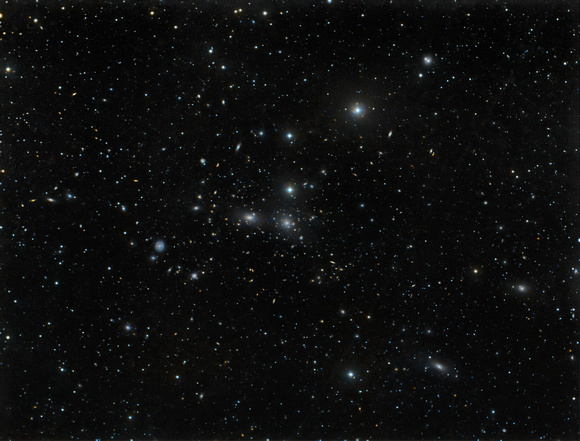 NGC 4874 in Coma Cluster
