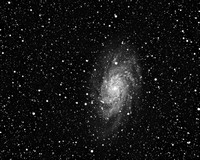 M33 NGC 598