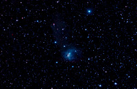 NGC-1788 Fox Face vdB 33, LBN 916