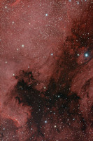 Caldwell 20 NGC 7000 Sh 2-117 North America Nebula