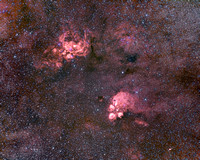 Cat's Paw and Lobster Nebulas