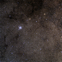 B 318 M11 NGC 6705 Wild Duck Cluster