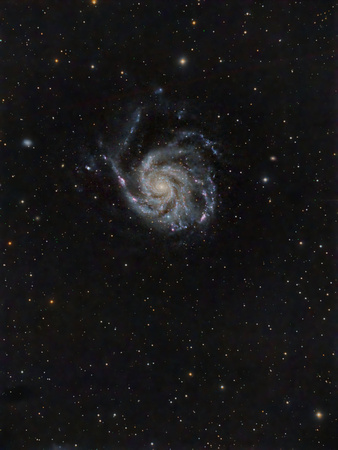 M101  NGC 5457  The Pinwheel Galaxy Supernova SN2011ef