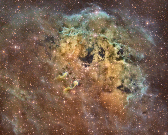 IC-410 Tadpole Nebula Sh 2-236