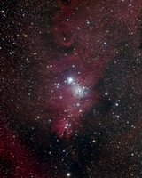 NGC 2264 Sh 2-273 Christmas Tree Cluster Cone Nebula ver Pix