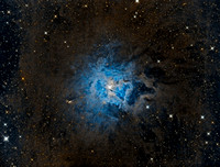 Caldwell 4 NGC 7023 vdB 139 ver Pix