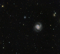 M 61 NGC 4303 ver Pix