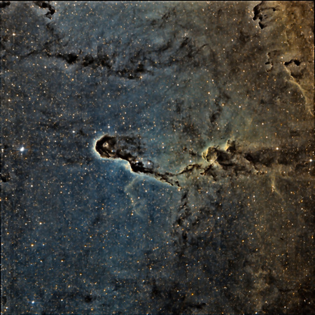 IC 1396 Sh 2-131 The Elephant Trunk in SHO ver pix SCNR