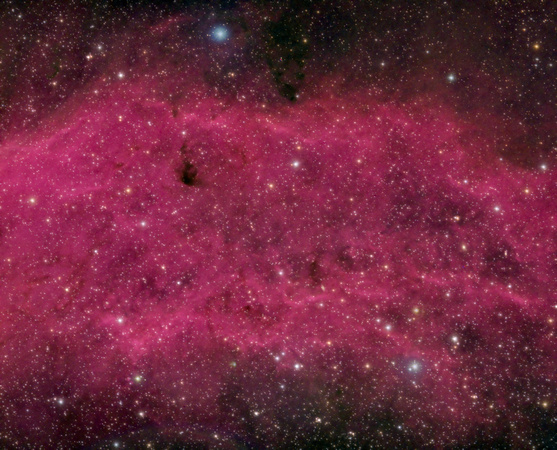 NGC-1499 California Nebula Sh 2-220 ver pix