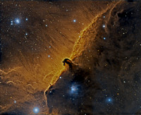 B 33 Horsehead Nebula LDN 1630 ver pix