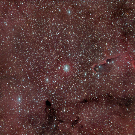 IC 1396 Sh 2-131 The Elephant's Trunk Nebula ver pix