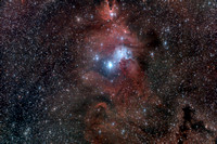 NGC 2264 Christmas Tree Cluster  Cone Nebula ver pix