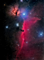 B 33 the Horsehead Nebula NGC 2024