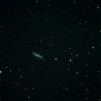 M108  NGC 3556