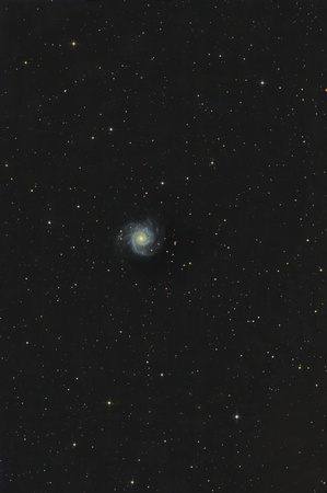 M74  NGC 628 Phantom Galaxy