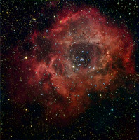 Caldwell 49 NGC 2237 Sh 2-275 Rosette Nebula