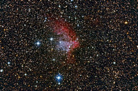 NGC 7380 with SH2-142 Wizard Nebula
