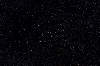 M39  NGC 7092