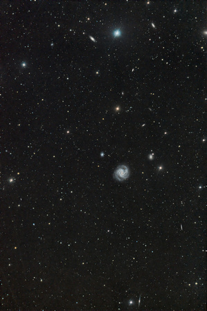M61  NGC 4303