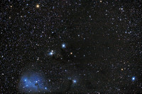 NGC-2247, NGC-2245, IC-446, IC-447