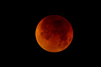 Lunar Eclipse 2007