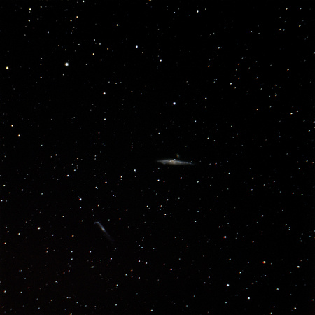 Caldwell 32   NGC 4631 Whale Galaxy