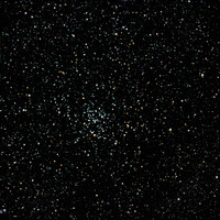 M50  NGC 2323