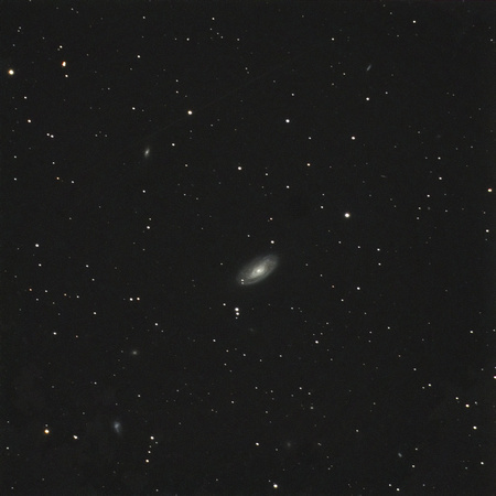 M88  NGC 4501
