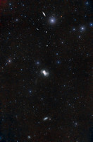 NGC 4449 Caldwell 21