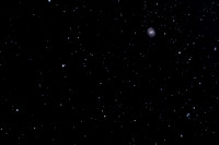 M91  NGC 4548