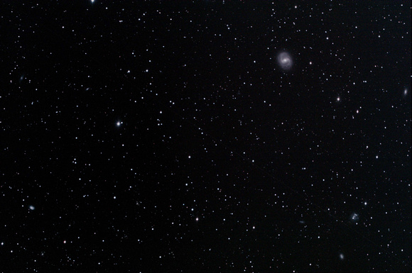 M91  NGC 4548
