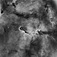 IC 1396 Sh 2-131 The Elephant's Trunk Nebula