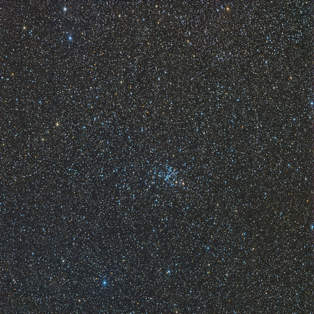 M93  NGC 2447