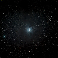 Caldwell 4  NGC 7023