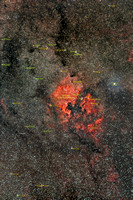 NGC 7000 widefield Sh 2-117 labelled
