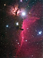 B 33 the Horsehead Nebula