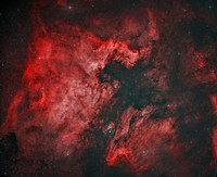Caldwell 20 NGC 7000 Sh 2-117 North America Nebula and Pelican (Ha-Oiii-HaOiii)
