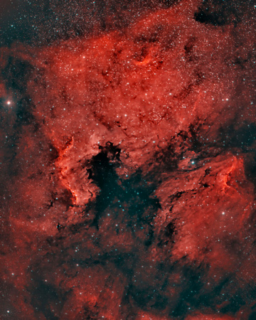 Caldwell 20 NGC 7000 Sh 2-117 North America Nebula (Ha-Oiii-Oiii)