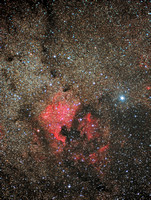NGC-7000 Sh 2-117 North American Nebula