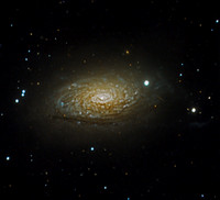 Messier 63 NGC 5055 Sunflower Galaxy