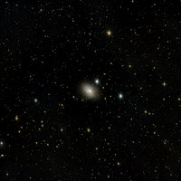 NGC 3077