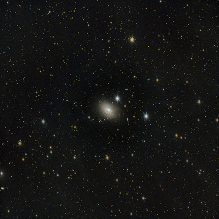 NGC 3077