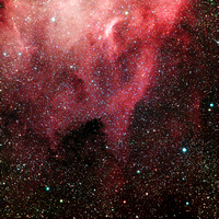 NGC 7000+