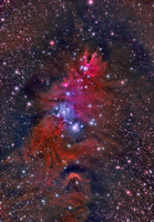 NGC 2264 Sh 2-273 Christmas Tree Cluster Cone Nebula